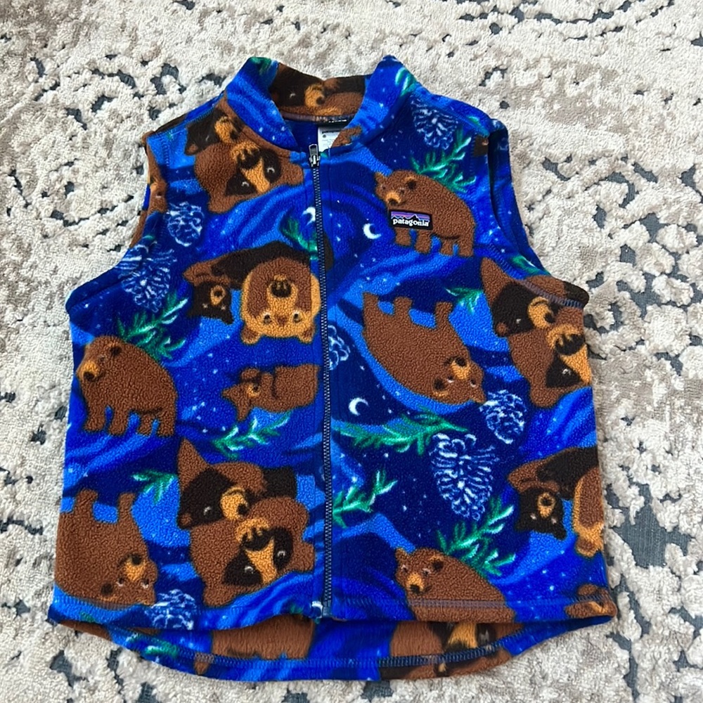 5T Patagonia fleece vest in excellent used condition. No rips, tears or stains.